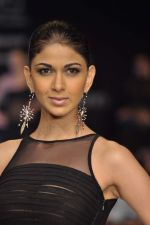 Model walks the ramp for Manish Khatter Show at IIJW Day 4 on 22nd Aug 2012 (15).JPG